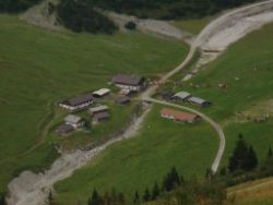 2013-09-08_6Falkenh-Steinfalk (327).JPG
